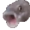 pogfish