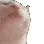catbop
