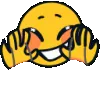 s_nv_happyflaps