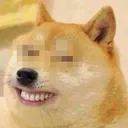 441 441