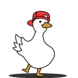 koefDance koefDance