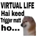 z_mbg_virtual_life