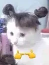 moew_etou
