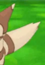furret