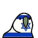 2620_IsraeliParrot