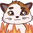 cattsiFire