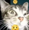 huh