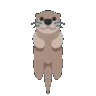 otterspin