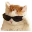PG_swag PG_swag
