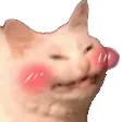 blushu