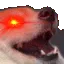 flex_kutta flex_kutta