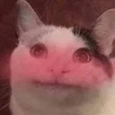 belugablush