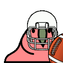 AH_footballparrot