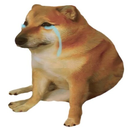 crying_cheems Discord emoji
