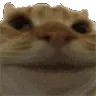 mmmnonopenahnawnyetnadda