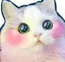 CatBlush