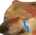 cheemslloron cheemslloron