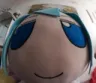 GT_cirnocara