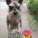 ivan