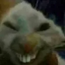 ratgamingultimate