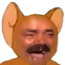 jerrykek jerrykek