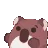 koalaHype