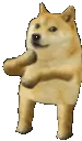 dogedance