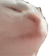 KU_CatJam Discord emoji