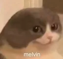 melvin