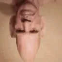 plingus3
