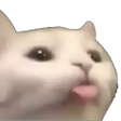 CattoTongue Discord emoji