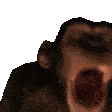 MonkeyCrazo Discord emoji