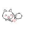 kitty