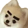 DOGbrows