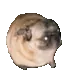 PogDance