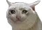 catcry Discord Emoji
