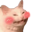 Blushie