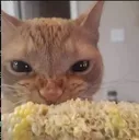 cateatingcorn Discord Emoji