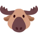 Morse