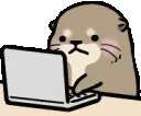 otter_pc