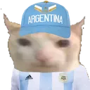0137gatoargentina