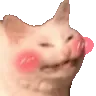 catblush