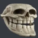 Mclaughlinahhskull