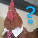 gallo_duda