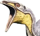 TI_BeiPog