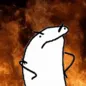 FireSock