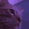cat_vibing Discord emoji