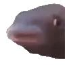 mmmm mmmm