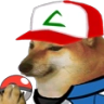 PKT_Pokecheems Discord emoji