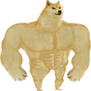 StrongDoge